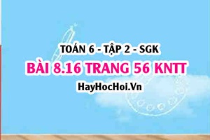 Bài 8.16 trang 56 Toán 6 Tập 2 Kết nối tri thức